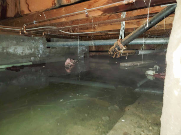 Best Residential water damage restoration  in Cochran, GA