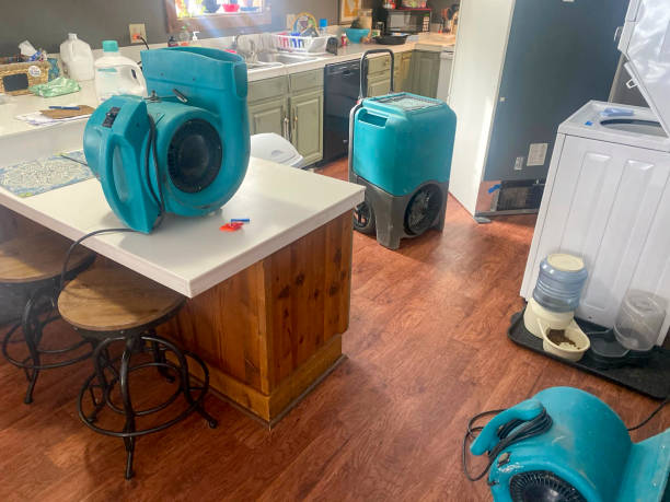 Best Basement water damage restoration  in Cochran, GA