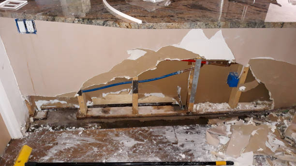 Best Flooded house restoration  in Cochran, GA