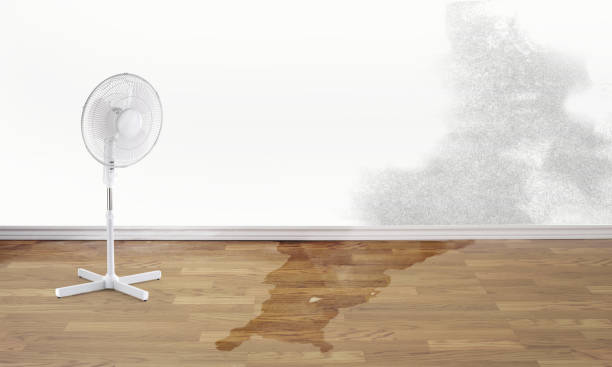 Reliable Cochran, GA Water damage restoration Solutions