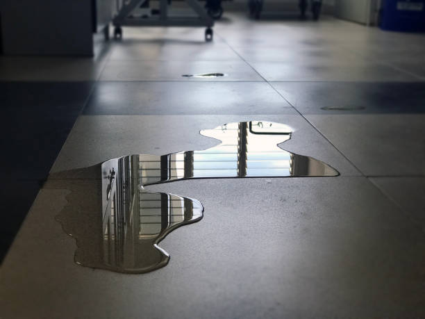 Best Water damage restoration process  in Cochran, GA