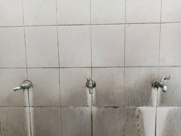 Best Water damage contractors near me  in Cochran, GA