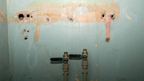 Best Mold removal after water damage  in Cochran, GA
