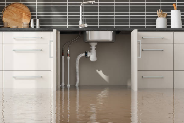 Best Flooded house restoration  in Cochran, GA
