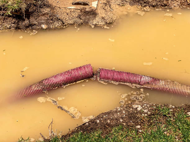 Best Water damage restoration near me  in Cochran, GA